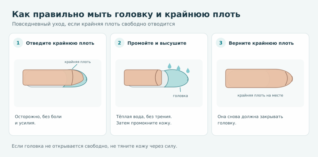 как правильно мыть головку полового члена