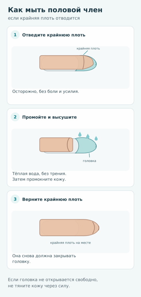 как правильно мыть половой член и головку